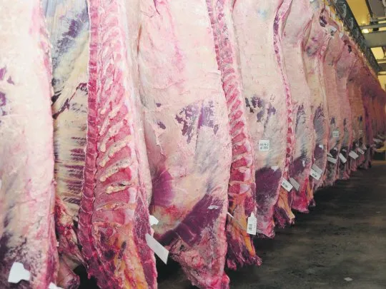 Controles Sanitarios Más Rigurosos: China Suspende Importaciones de Frigorífico Arrebeef SA