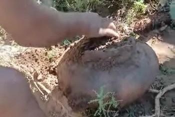 Importante hallazgo arqueológico en zona rural