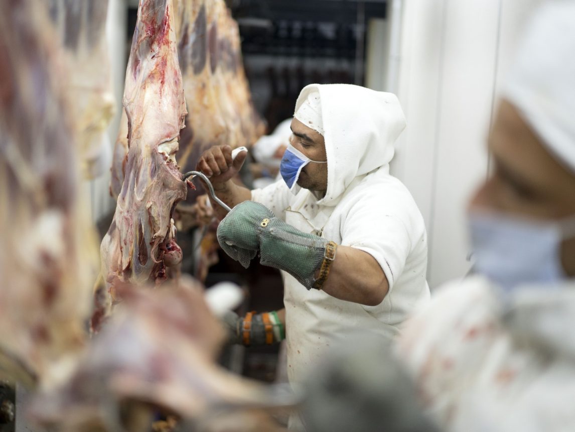 China y Europa rechazan cargamentos argentinos por fallas sanitarias luego de los ajustes en el Senasa