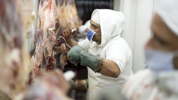 China y Europa rechazan cargamentos argentinos por fallas sanitarias luego de los ajustes en el Senasa