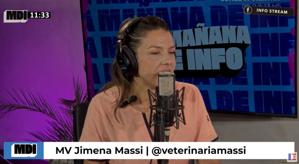 Fisioterapia y controles para mejorar la calidad de vida de perros y gatos adultos: la dra. Jime Massi en MDI