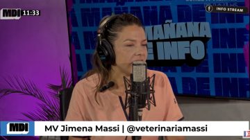 Fisioterapia y controles para mejorar la calidad de vida de perros y gatos adultos: la dra. Jime Massi en MDI