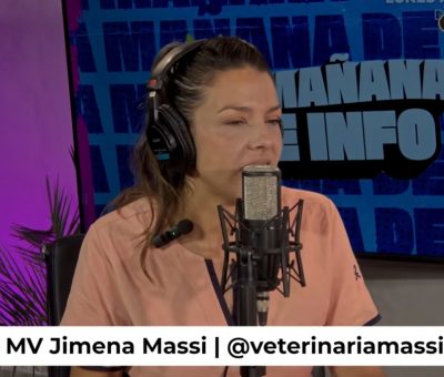 Fisioterapia y controles para mejorar la calidad de vida de perros y gatos adultos: la dra. Jime Massi en MDI