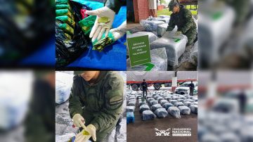 Inspeccionan un camión y descubren un cargamento 1.912 kilos de hojas de coca