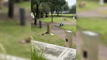 FOTOS. Denuncian destrozos y basura en la plaza Absalón Rojas