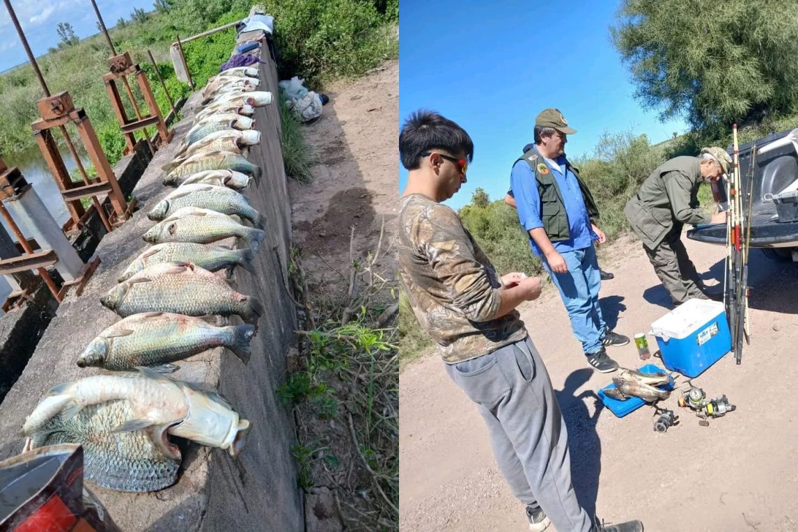 Labraron actas de infracción por caza y pesca ilegal en el Departamento Figueroa