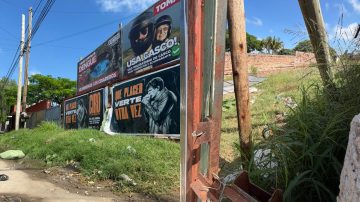 Desidia en el B° Francisco de Aguirre: calles con agua estancada, maleza y basura en las veredas