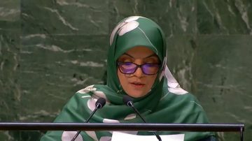 El gobierno Iraní criticó a Milei y afirmó que intenta desviar la atención de los argentinos