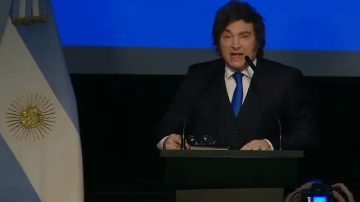 Milei, filoso con Kicillof: “Tuvimos que venir a arreglar sus cagadas”