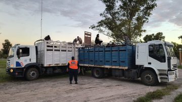 La Policía Secuestra 25 Caballos y un Camión en Operativos de Prevención