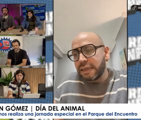 Concientización, feria y música: todo lo que tienes que saber sobre la gran jornada por el Día del Animal