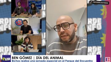 Concientización, feria y música: todo lo que tienes que saber sobre la gran jornada por el Día del Animal