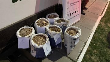 Detienen a mineros chilenos que extraían pepitas de oro en la Cordillera de Los Andes