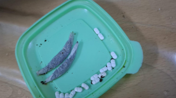 Detienen a una mujer que quiso hacer ingresar alfajores con marihuana y pastillas para un familiar detenido