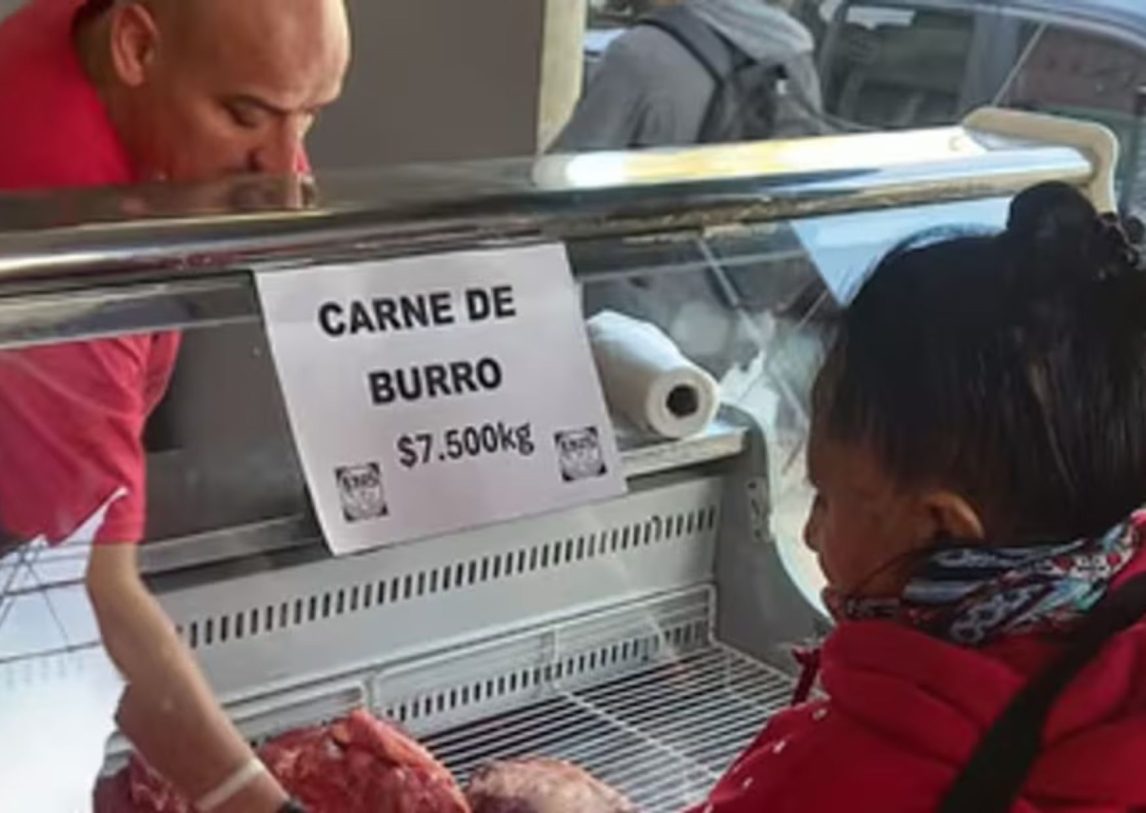 Éxito total en Trelew: se agotó la carne de burro en tiempo récord y preparan una degustación gratuita