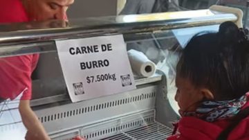 Éxito total en Trelew: se agotó la carne de burro en tiempo récord y preparan una degustación gratuita