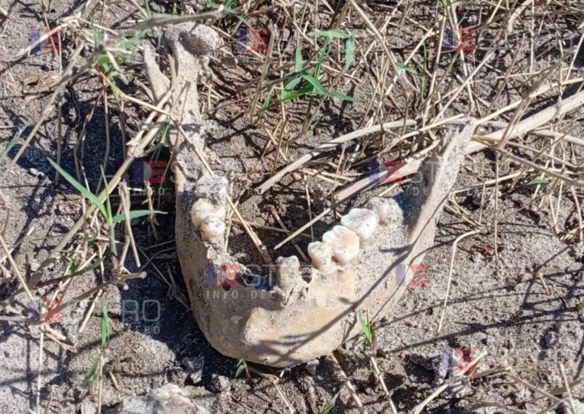 Difunden la primera imagen de los restos óseos hallados en la Costanera