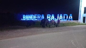 A cuatro días del fallecimiento de un joven que chocó con un animal, solicitan más controles