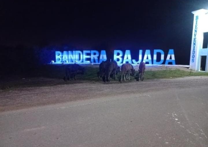 A cuatro días del fallecimiento de un joven que chocó con un animal, solicitan más controles