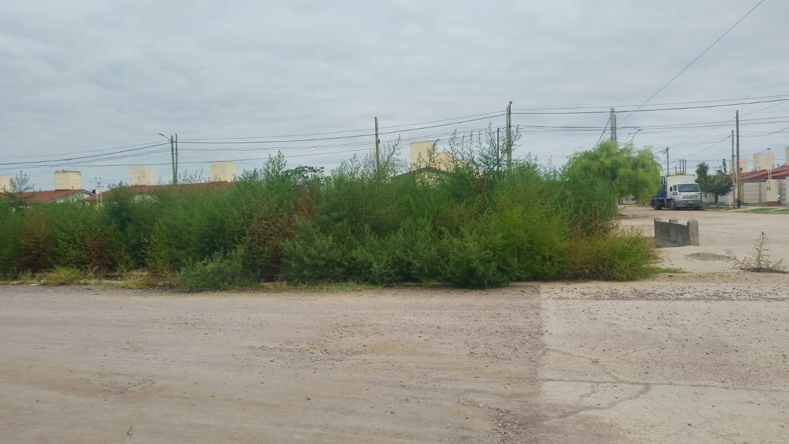 “Hace más de un año que no limpian”: vecinos reclaman por malas condiciones del espacio público