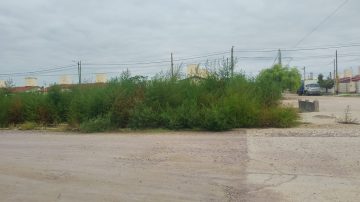 “Hace más de un año que no limpian”: vecinos reclaman por malas condiciones del espacio público