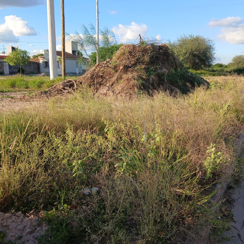 FOTOS. Reclamo de vecinos por terrenos en mal estado en el barrio Santa Lucía ampliación