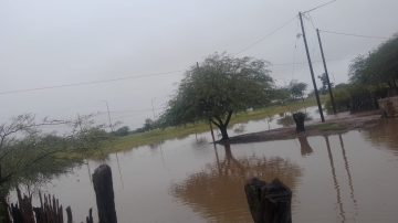Vecinos de Colonia El Simbolar denuncian inundaciones y falta de respuestas tras las lluvias