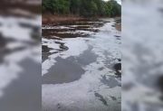 Alerta ambiental en Termas de Río Hondo: denuncian contaminación y mortandad de peces