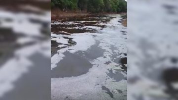 Alerta ambiental en Termas de Río Hondo: denuncian contaminación y mortandad de peces