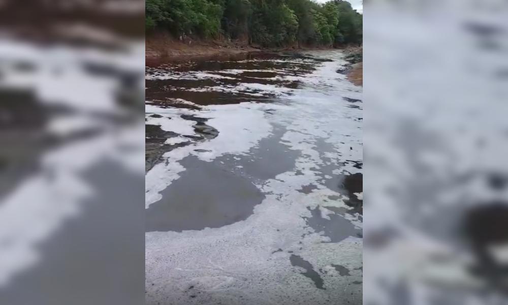 Alerta ambiental en Termas de Río Hondo: denuncian contaminación y mortandad de peces