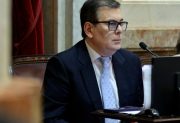 Zamora presentó en el Senado un proyecto de ley para prevenir la ludopatía infantil