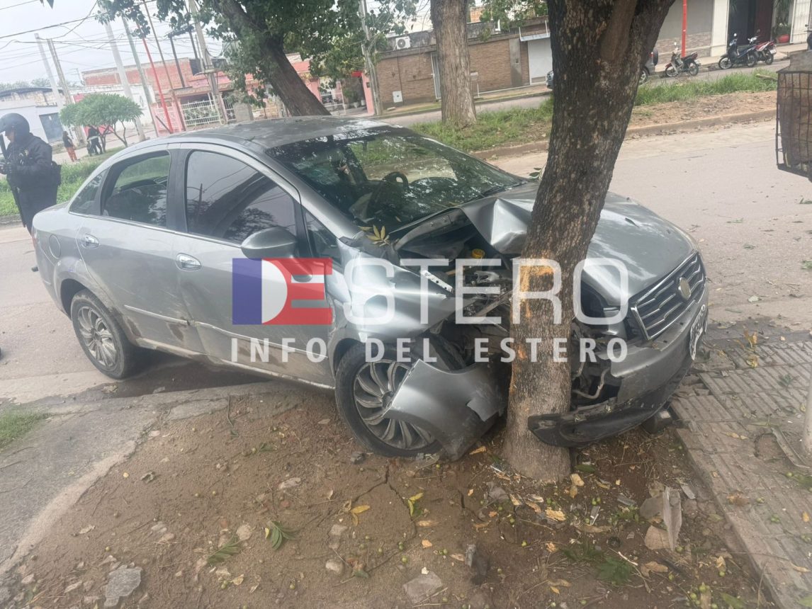 Chocó el auto contra un árbol tras intentar esquivar un perro