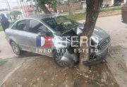 Chocó el auto contra un árbol tras intentar esquivar un perro