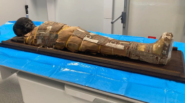 Enigma en Egipto: descubren un objeto secreto en el pecho de una momia de 2.000 años