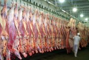 Mediante el nuevo acuerdo comercial, Estados Unidos tendría carne argentina más económica