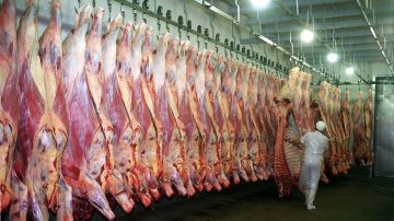 Mediante el nuevo acuerdo comercial, Estados Unidos tendría carne argentina más económica