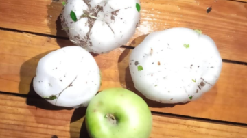 Impresionante caída granizo más grande que una manzana en Mendoza: hubo cortes de luz y árboles caídos