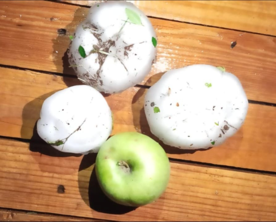 Impresionante caída granizo más grande que una manzana en Mendoza: hubo cortes de luz y árboles caídos