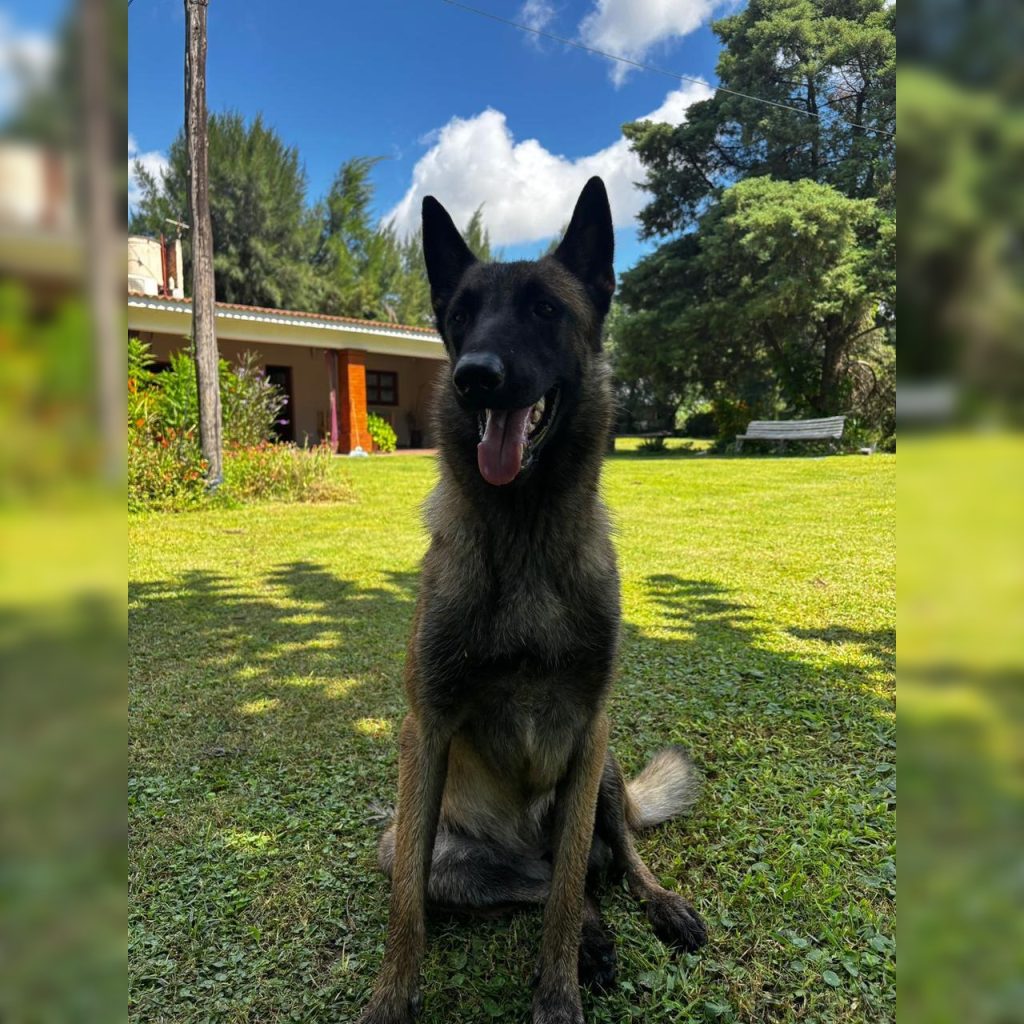 Piden ayuda para encontrar a “Tina”