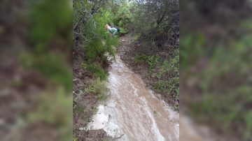 VIDEO. Continúa la preocupación en Mailín por el avance del “Río Viejo”
