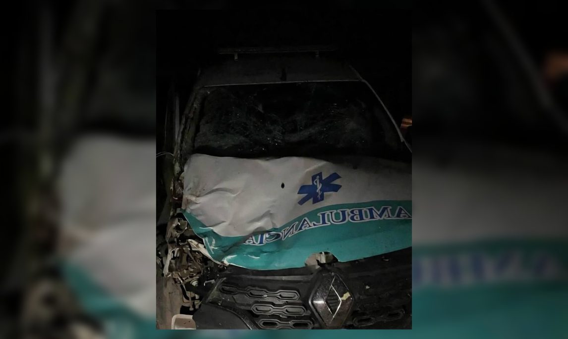 Dos caballos se cruzaron en plena madrugada y provocaron un grave accidente cerca de Tintina