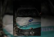 Dos caballos se cruzaron en plena madrugada y provocaron un grave accidente cerca de Tintina