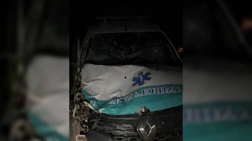 Dos caballos se cruzaron en plena madrugada y provocaron un grave accidente cerca de Tintina