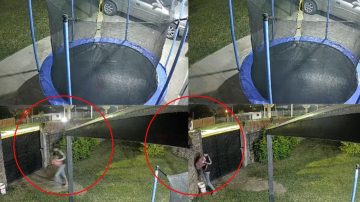 Buscan identificar a un ladrón que concretó un “tour” delictivo en La Banda