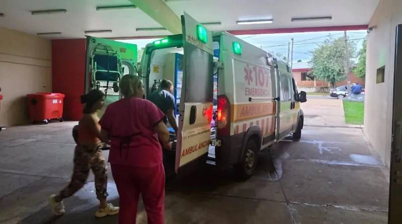 Horror en Misiones: un niño fue atacado por siete perros y está grave