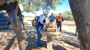 Personal de Patrimonio acudió al rescate de las piezas arqueológicas halladas en Los Mistoles