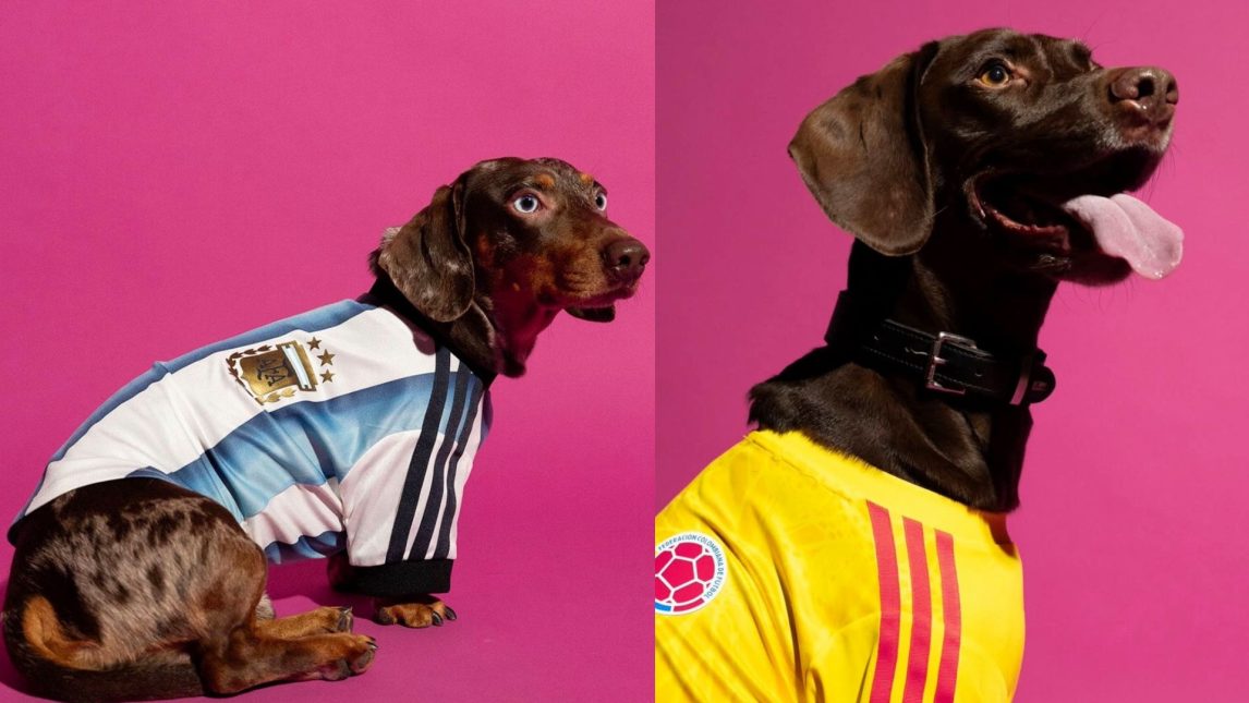 Adidas lanzó su línea de camisetas para perros con las selecciones de Argentina, México, Colombia y Japón