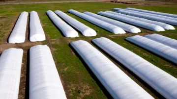 Alerta logística: la cosecha récord de maíz y trigo deja sin lugar a la soja y complica los fletes