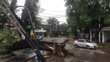 Descontrol climático en el AMBA: ráfagas de 100 km/h y más de 16 mil usuarios sin luz