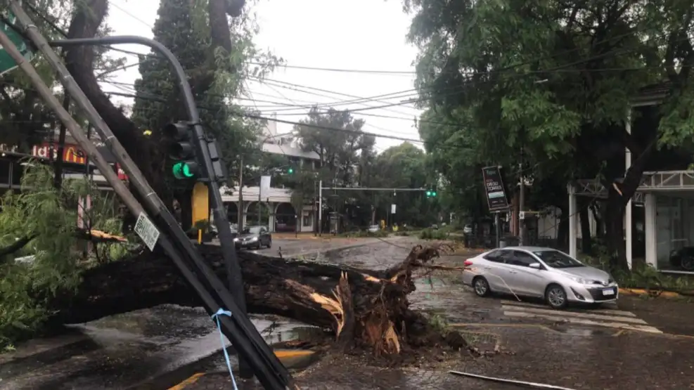 Descontrol climático en el AMBA: ráfagas de 100 km/h y más de 16 mil usuarios sin luz
